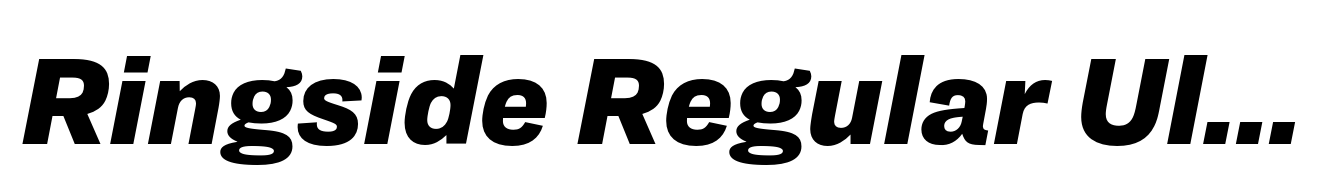 Ringside Regular Ultra Italic